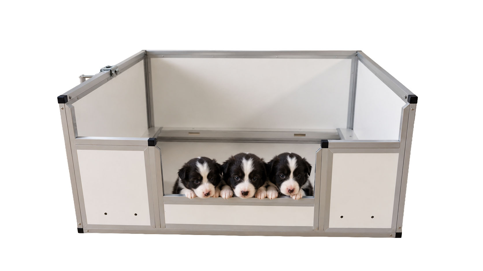 Welpenbox